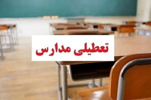 مدارس سمنان فردا و پس فردا غیر حضوری است/ ویدئو