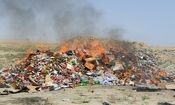 معدوم سازی بیش از یک میلیون کیلوگرم مواد غذایی فاسد در طرح سلامت نوروزی

