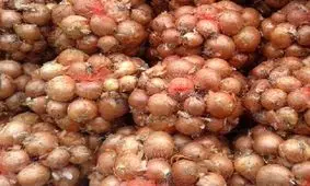 قیمت هر کیلو پیاز در سطح شهر تهران بین ۳۳ تا ۳۷هزار تومان