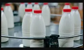 قیمت خرید تضمینی هر کیلو شیرخام ۱۲ هزار تومان است

