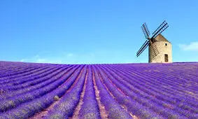 تصویری حیرت‌انگیز از راه شیری بر فراز یک مزرعه‌