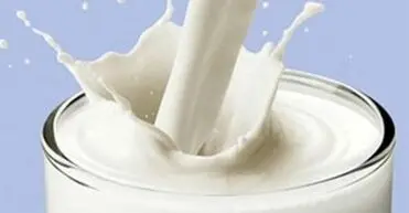 چرا جوشاندن شیر، آفلاتوکسین را از بین نمی‌برد؟