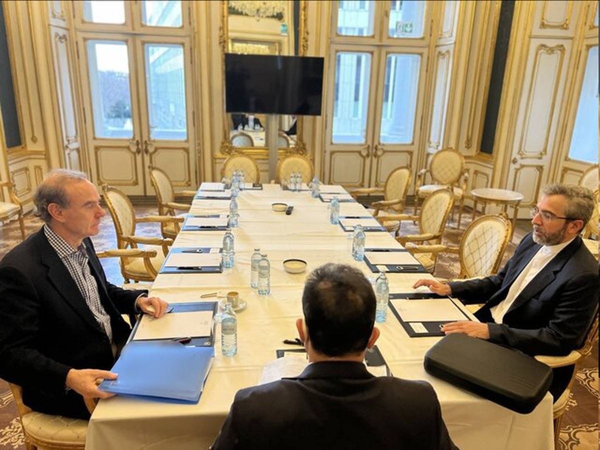 رایزنی مذاکره‌کننده ارشد ایران و نماینده اتحادیه اروپا در وین

