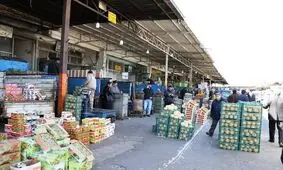 بازار سنگین میوه و تربار؛ روزی ۱۵۰۰ تن میوه روی دست می‌ماند!