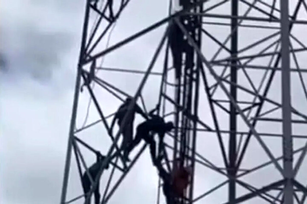 سقوط امدادگران از بالای دکل برق هنگام تلاش برای نجات یک مرد حین خودکشی/ ویدئو