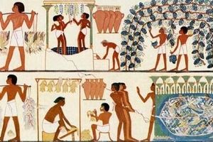 غذاهای فراعنه‌ مصر چه بود؟