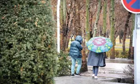 پدیده سمی به نام «داداشی‌آبجی»