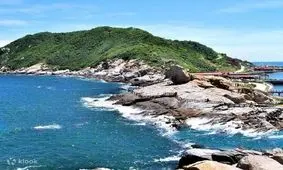 کشف جانوری با «170 چشم» در سواحل چین/عکس