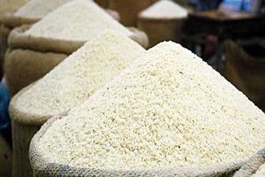 قیمت برنج بار دیگر به انفجار می رسد؟/ ترفند جالبی که برخی کلاهبرداران از طریق آن، برنج تقلبی می فروشند!
