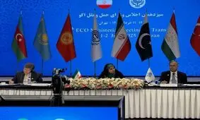 برق سیزدهمین اجلاس اکو در تهران در حضور مهمانان خارجی رفت/ ویدئو

