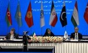 برق سیزدهمین اجلاس اکو در تهران در حضور مهمانان خارجی رفت/ ویدئو

