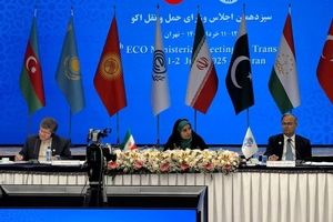 برق سیزدهمین اجلاس اکو در تهران در حضور مهمانان خارجی رفت/ ویدئو


