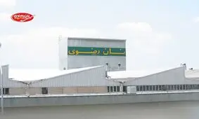 عرضه اولیه «نان» فردا در فرابورس/ کیک نوستالژیک دهه شصتی‌ها بورسی می‌شود