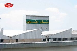 عرضه اولیه «نان» فردا در فرابورس/ کیک نوستالژیک دهه شصتی‌ها بورسی می‌شود