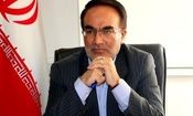 زمانی که از خودرو پیاده شد تعادل نداشت و به آیینه برخورد کرد