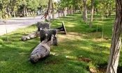 فوت یک کودک بر اثر سقوط مجسمه در پارک