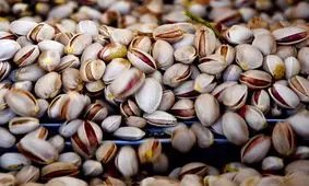 افت 20 درصدی صادرات خشکبار در 3 سال اخیر/ دخالت خودروسازان و واردکنندگان موبایل در صادرات خشکبار