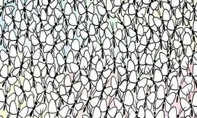مورچه ای که میان پروانه ها پنهان شده است/ یک چالش برای تیزبین ها