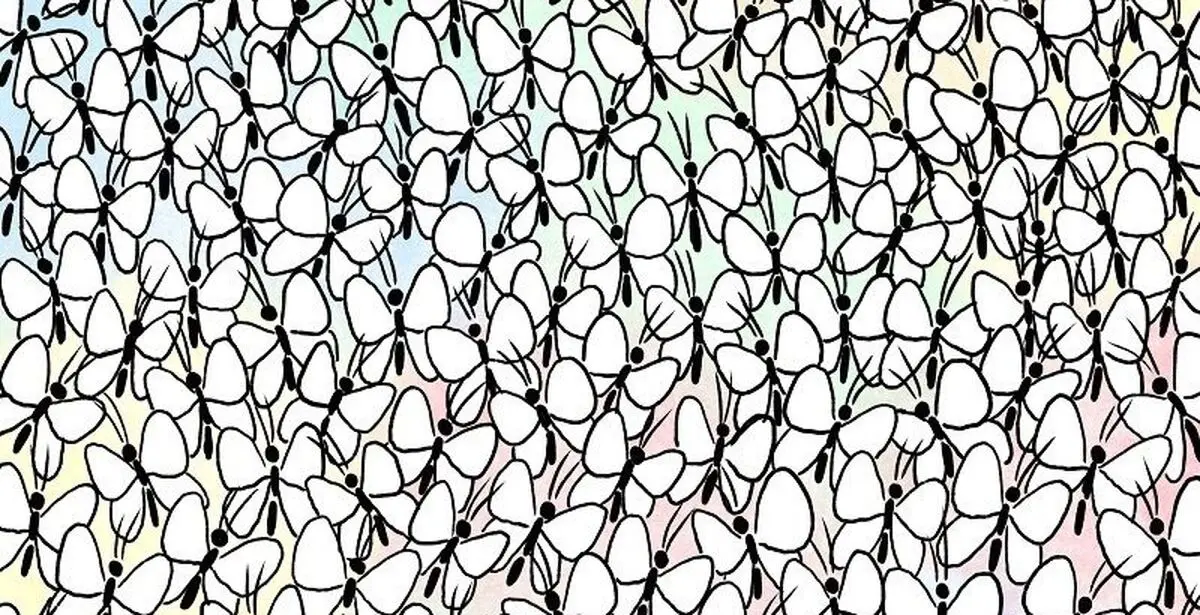مورچه ای که میان پروانه ها پنهان شده است/ یک چالش برای تیزبین ها