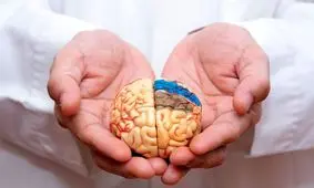 کمبود این ویتامین مغز را کوچک و حافظه را نابود می‌کند