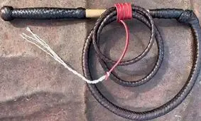 مقام رهبری می‌توانند با صدور یک فتوا یا ارجاع به مجمع تشخیص، مجازات شلاق را حذف کنند