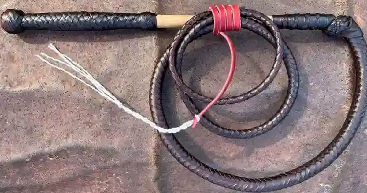 مقام رهبری میتوانند با صدور یک فتوا یا ارجاع به مجمع تشخیص، مجازات شلاق را حذف کنند