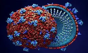 شیوع گسترده امیکرون در هند و تعطیلی نمایشگاه کتاب دهلی‌نو