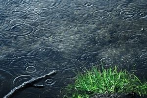 بارش و کاهش دما در سواحل دریای خزر