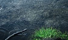 بارش و کاهش دما در سواحل دریای خزر