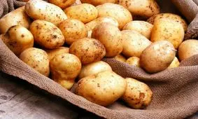 قیمت سیب زمینی در یک سال ۲.۵ برابر شد!