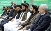 طالبان ۳۵ میلیون دلار در چابهار سرمایه گذاری کرد

