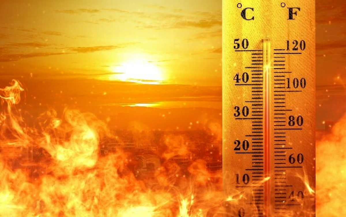 پخت تخممرغ در گرمای اقلیم کردستان/ ویدئو