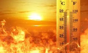 پخت تخم‌مرغ در گرمای اقلیم کردستان/ ویدئو