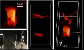 دوربین هایی با قدرت دید مگس و خفاش که اشیای پنهان را می‌بینند