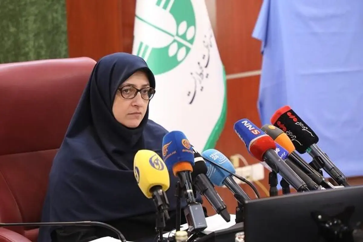 تداوم مازوت‌سوزی در برخی نیروگاه‌های کشور/ سازمان حفاظت محیط زیست دستگاه اجرایی نیست، دستگاهی نظارتی است

