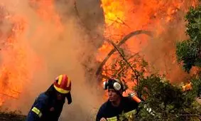 استودیوی تاریخی قاهره در آتش سوخت/ ویدئو