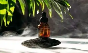 پاک کردن لکه لباس با استفاده از روغن گیاهی اکالیپتوس