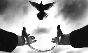 شکارچی به جای گراز دوستش را شکار کرد 