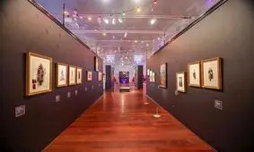 انیمیشنی که 30 سال از آن گذشت/ نمایشگاه تیم برتون در تگزاس