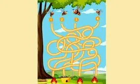 بازی فکری/ مسیر درست زنبورها برای رسیدن به کندو را پیدا کنید؟ 