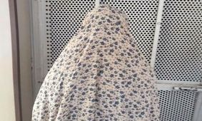 12 میلیارد تومان طلا زیر فضولات حیوانی