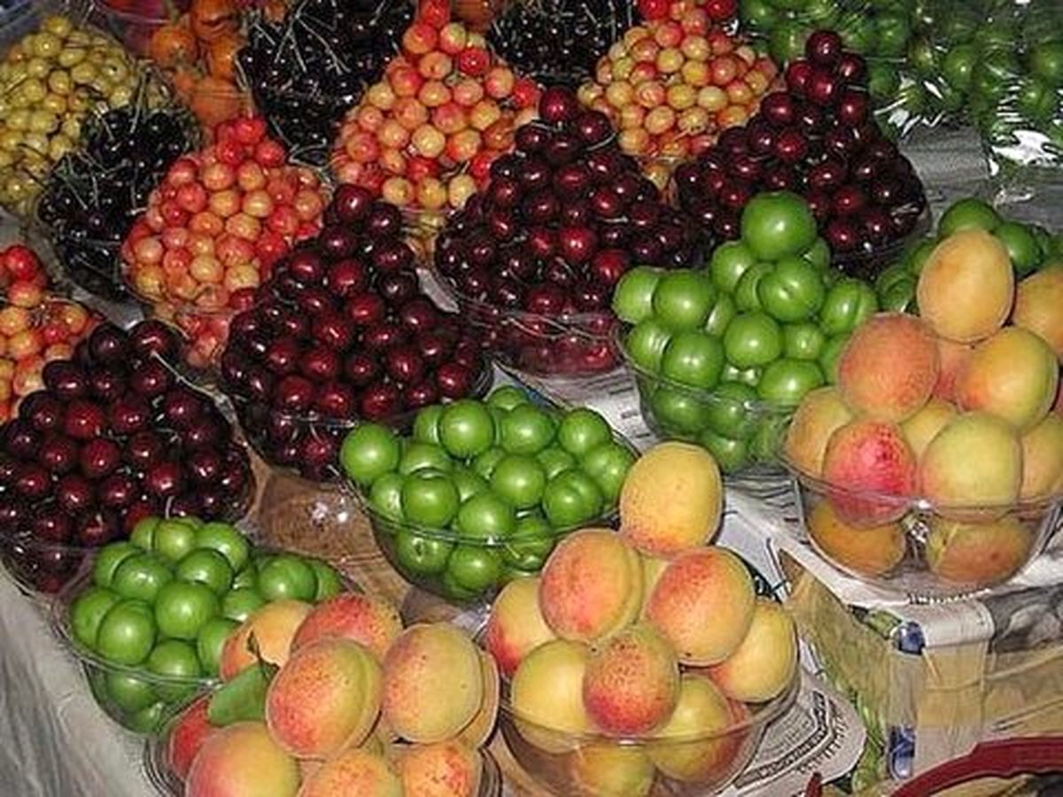 کاهش ۲۰ تا ۳۰ درصدی مصرف میوه و سبزیجات