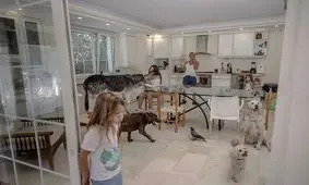 خانواده ترکیه‌ای که خانه‌شان را به کشتی نوح بدل کردند!