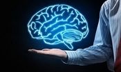 خوردن این غذا سبب کوچک شدن مغز می‌شود