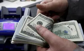 انتقاد از ارزپاشی اخیر برای کاهش قیمت دلار؛ قبلا هم این کار را تجربه کرده اید و نتیجه اش را دیده اید