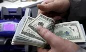هشدار یک کارشناس اقتصادی درباره قیمت دلار