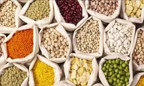 تغییر عجیب قیمت حبوبات در دی ۱۴۰۴/ قیمت لوبیاچیتی به مرز ۶۰۰ هزار تومان رسید