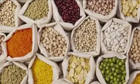 تغییر عجیب قیمت حبوبات در دی ۱۴۰۴/ قیمت لوبیاچیتی به مرز ۶۰۰ هزار تومان رسید