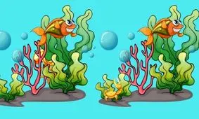 تست بینایی/  4 تفاوت دو تصویر کنار هم را در 10 ثانیه تشخیص دهید