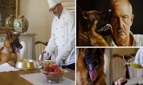 Gunther’s Millions،داستان ثروتمندترین سگ جهان که دو باشگاه فوتبال خرید